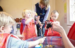 Curriculum not flexible enough for autistic children