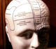 Dyslexia: the plastic brain and beyond