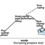 Figure 1. Graph showing the relationship between pressure and coping.