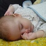 baby512