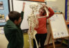 Activities worth talking about
