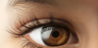 Sensory issues and autism: an insider’s guide