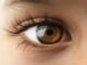 Sensory issues and autism: an insider’s guide