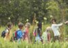 Playing inside the copse