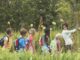 Playing inside the copse