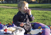 Sensory delights