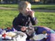 Sensory delights