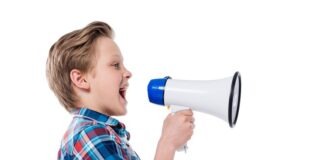Hearing pupils’ voices