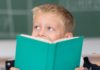 Is Pupil Premium Plus working?