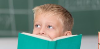 Is Pupil Premium Plus working?