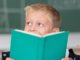 Is Pupil Premium Plus working?
