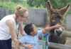 Stress busting family days out