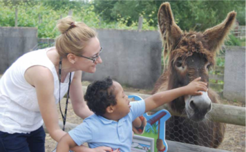 Stress busting family days out