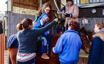 Supporting a physical curriculum