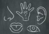 Sensory support for dyslexia