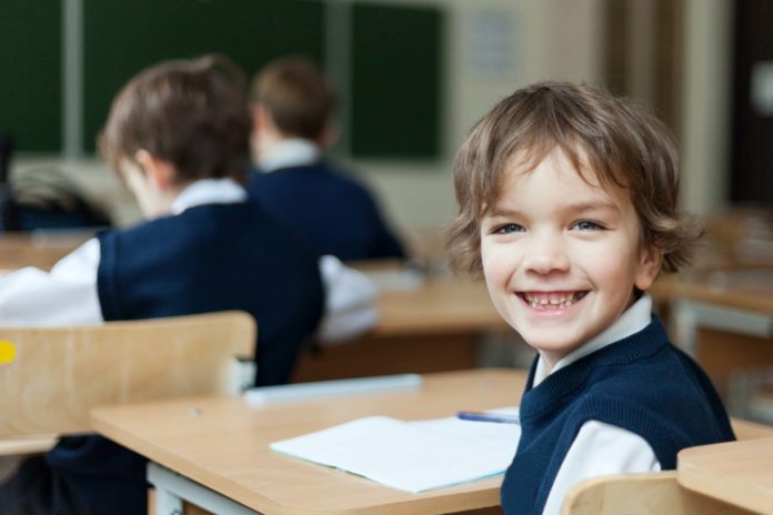 Diligent student sitting at desk, classroom