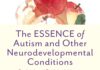 The ESSENCE of Autism and Other Neurodevelopmental Condition: Rethinking Co-Morbidities, Assessment and Intervention