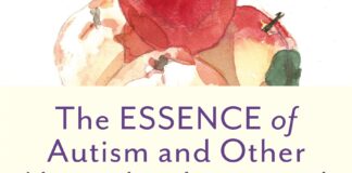 The ESSENCE of Autism and Other Neurodevelopmental Condition: Rethinking Co-Morbidities, Assessment and Intervention