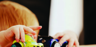 Using VERVE in schools