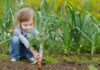 Support children to get their hands dirty this autumn, urges RHS