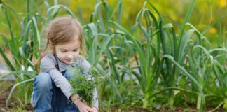 Support children to get their hands dirty this autumn, urges RHS