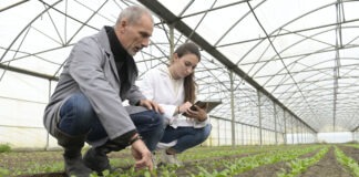DFN Project Search leading the way for young people with hidden impairments