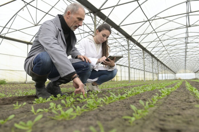 Apprentice in greenhouse learning about organic agriculture