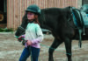 What can working with horses teach us about mental health