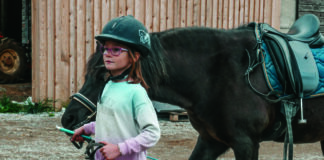 What can working with horses teach us about mental health