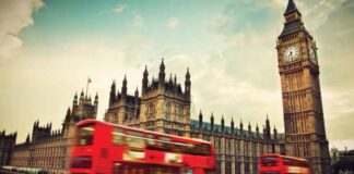 Dyslexia in Parliament