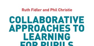 Collaborative Approaches to Learning For Pupils With PDA: Strategies for Education Professionals