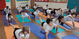 Bonkers Yoga