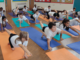 Bonkers Yoga