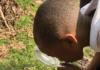 Climbing, balancing, noticing and exploring