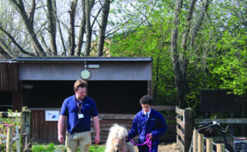 The educational & therapeutic impact of a school farm