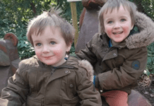 Splitting York autistic twins may have unwanted outcome – charity