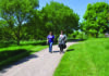 Successful sensory walks