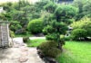 SEN in Japan