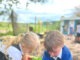 Playgrounds inspired by nature