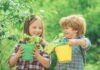 Outdoor learning anywhere