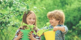 Outdoor learning anywhere