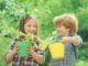 Outdoor learning anywhere