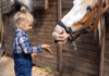 Horsepower