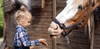 Horsepower