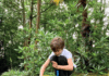Forest school