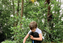 Forest school