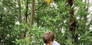 Forest school