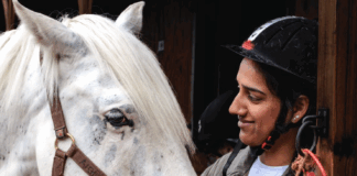 The gift of horses