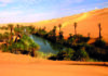 Creating an oasis
