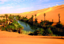 Creating an oasis